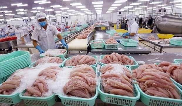 Aquatic product exports see slight increase in September hinh anh 1