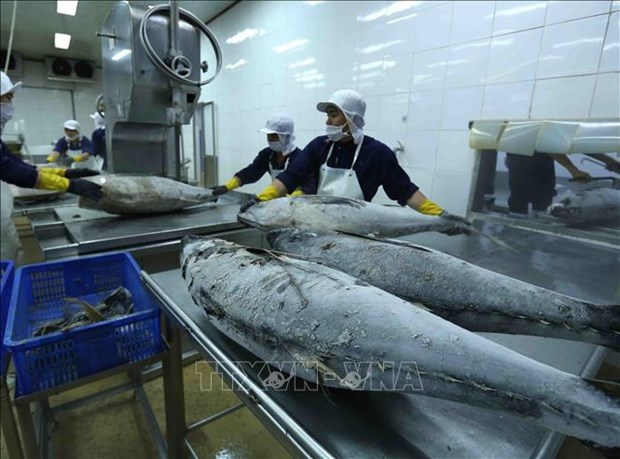 Aquatic product exports see slight increase in September hinh anh 2