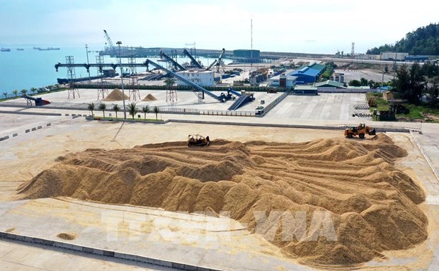 Wood pellet, wood chip exports – a bright spot: official hinh anh 1
