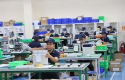 Japanese businesses seek investment opportunities in Mekong Delta