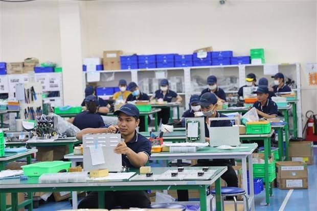 Japanese businesses seek investment opportunities in Mekong Delta hinh anh 1