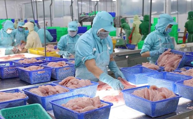 Seafood exports bustle again in year-end period hinh anh 1