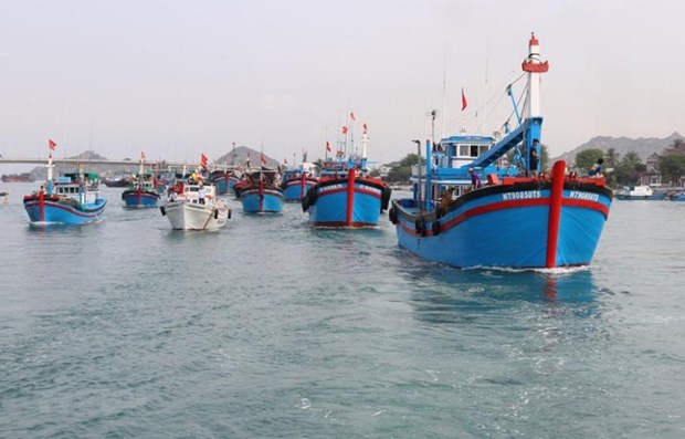 Vietnam seriously implements EC recommendations in IUU fishing combat: Ministry hinh anh 1
