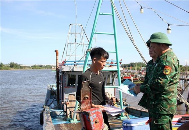 Vietnam seriously implements EC recommendations in IUU fishing combat: Ministry hinh anh 2