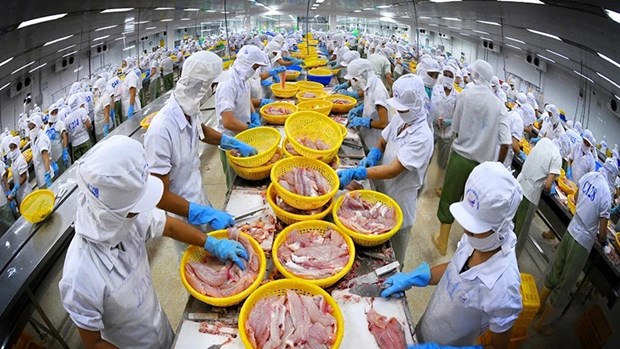 Vietnam needs brand building to boost exports to CPTPP market hinh anh 1
