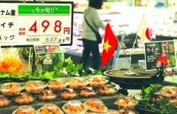 bringing vietnamese goods to japanese supermarkets
