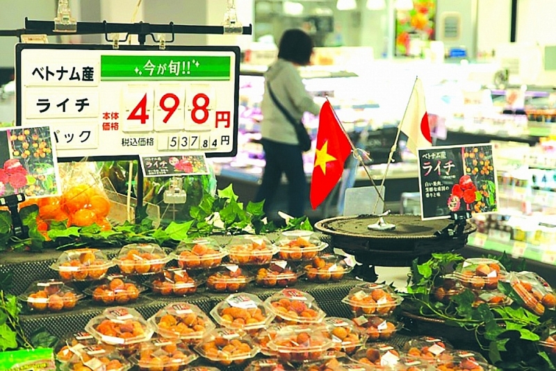 Vietnamese lychee stall at AEON Kagoshima supermarket chain. Photo: CTV