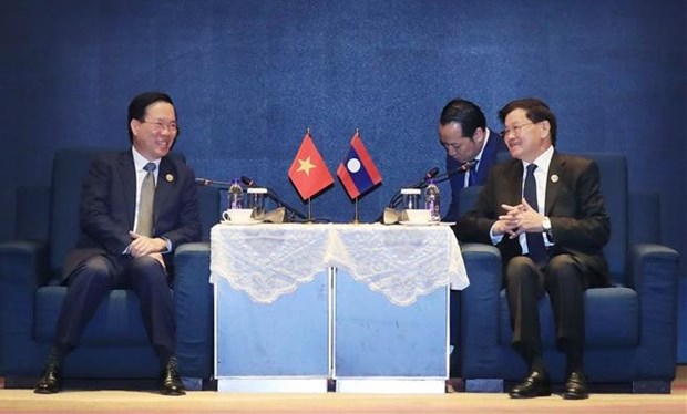 Vietnam always treasures ties with Laos: President hinh anh 1