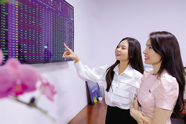 Transparency crucial to upgrading the stock market hinh anh 1