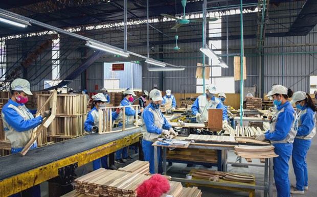 Tuyen Quang taps advantages to boost exports hinh anh 2