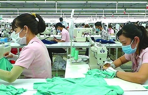 Greening the textile industry from pioneering enterprises