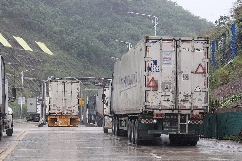 Customs clearance activities through the specialized route at Tan Thanh border gate. Photo: H.Nu