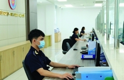 Da Nang Customs making efforts to revive revenue
