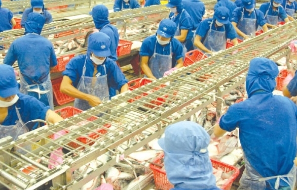 Pangasius exports to the EU drops by 19%