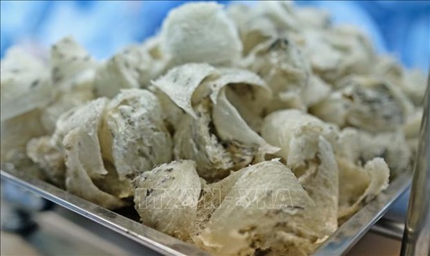 Vietnam to export first batch of bird’s nests to China this month hinh anh 1