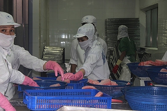 The seafood business relies heavily on imported raw materials. Photo: T.H