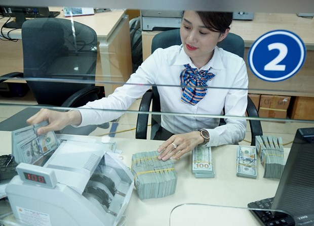 Remittance flows forecast to increase in year-end months: experts hinh anh 1