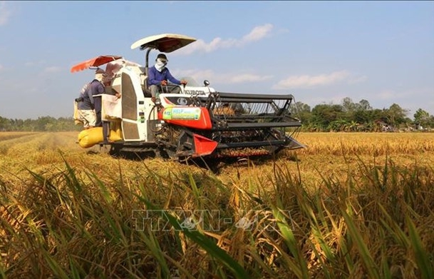 Public-private partnership needed for sustainable rice farming