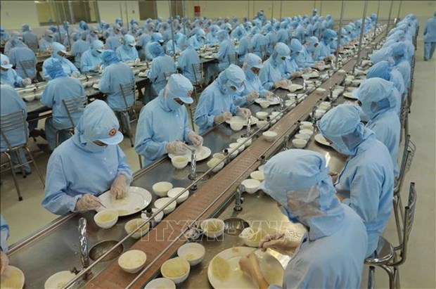 Vietnamese enterprises increase investment to seize bird’s nest export opportunities hinh anh 1