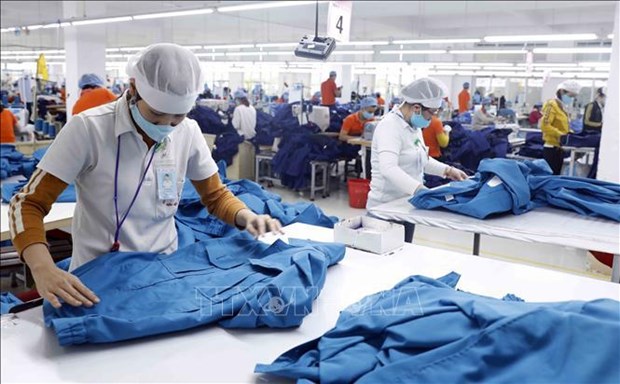 Garment sector sees signs of recovery hinh anh 1