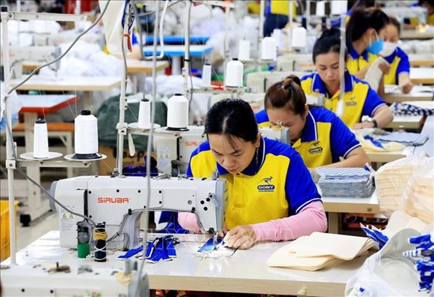 Garment sector sees signs of recovery hinh anh 2
