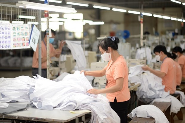 Worst is over for garment, footwear exports, growth next year hinh anh 1
