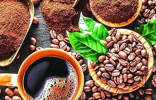 Coffee export is forecast to continue to win big