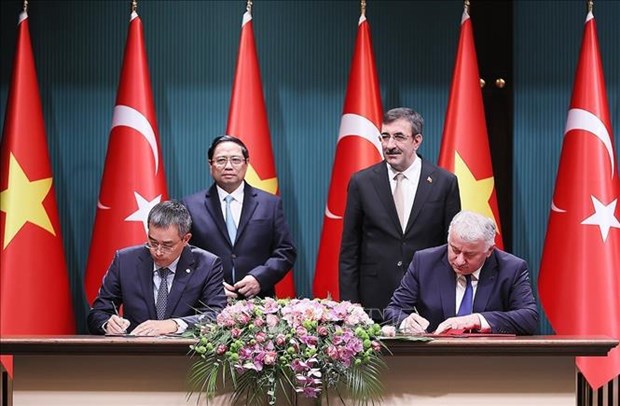 Vietnamese, Turkish national flag carriers cooperate on goods transport hinh anh 1