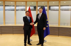 EU sees Vietnam as vivid demonstration of EVFTA success
