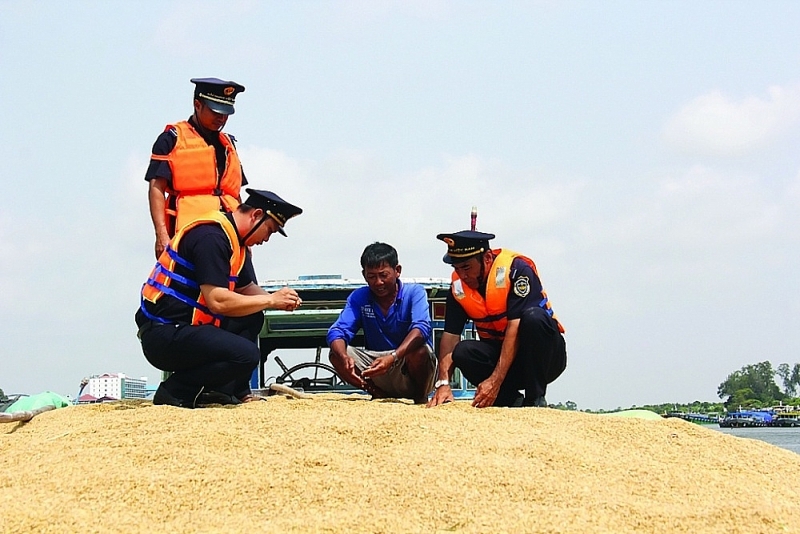 An Giang Customs officers inspect imported paddy rice. Photo: T.H