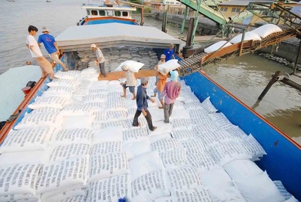 Vietnam’s rice exports hit record high since 1989 hinh anh 2