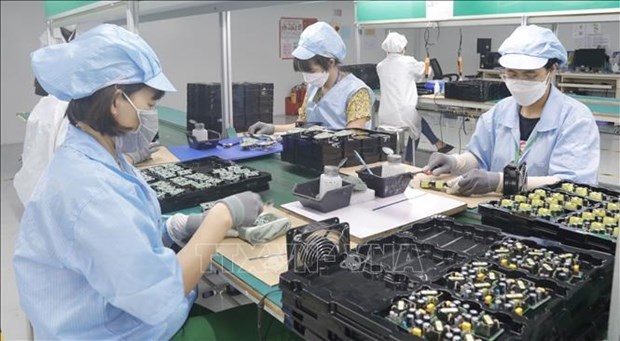 Manufacturers in overdrive to cater to year-end consumption hinh anh 1