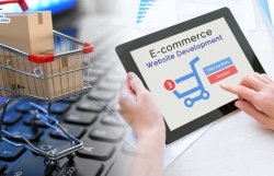 review the processes and procedures of e commerce activities to expand and cover revenue sources
