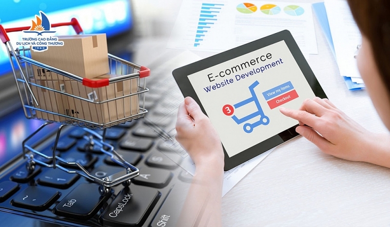 Review the processes and procedures of e-commerce activities to expand and cover revenue sources