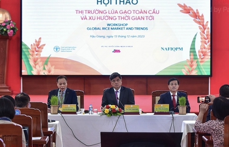 Great opportunity for Vietnamese rice as import demand from other countries increasing