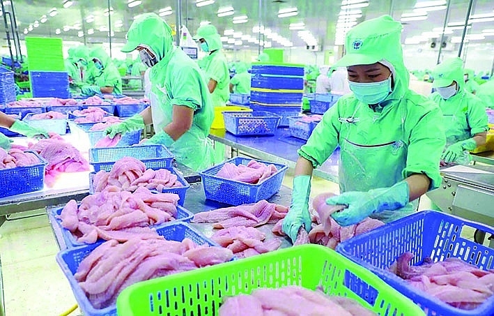 Exporting Vietnamese catfish with a target of 2 billion USD in 2024
