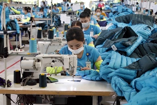 Vietnam’s textiles, garments yet to fully tap FTAs’ advantages and potential hinh anh 1