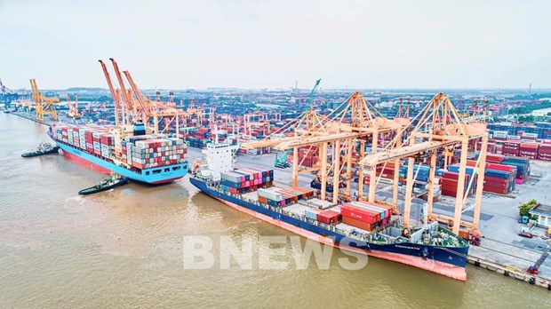 Seaport container handling fees to be adjusted from mid-February 2024 hinh anh 1