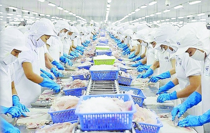 Seafood export enterprises have broadened their scope.Photo: S.T