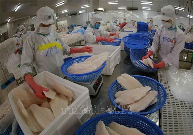 Vietnam targets 2 billion USD in tra fish exports in 2024 hinh anh 1