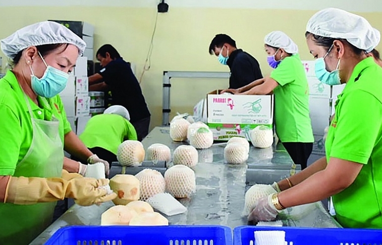 Enhancing the competitiveness of Vietnamese agricultural products in the US and EU with quality and reputation