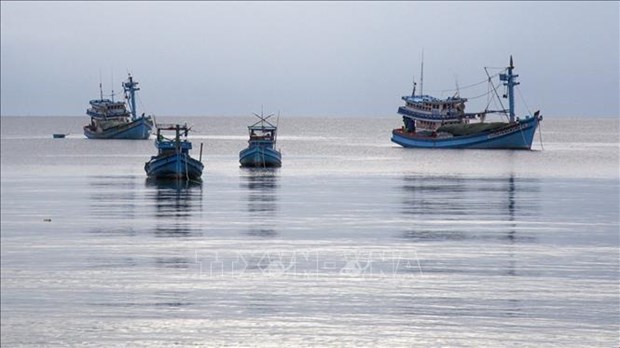 Coast guard force continues focusing on IUU fishing prevention, combat in 2024 hinh anh 1