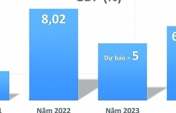 vietnams economy in 2023 rock steady development