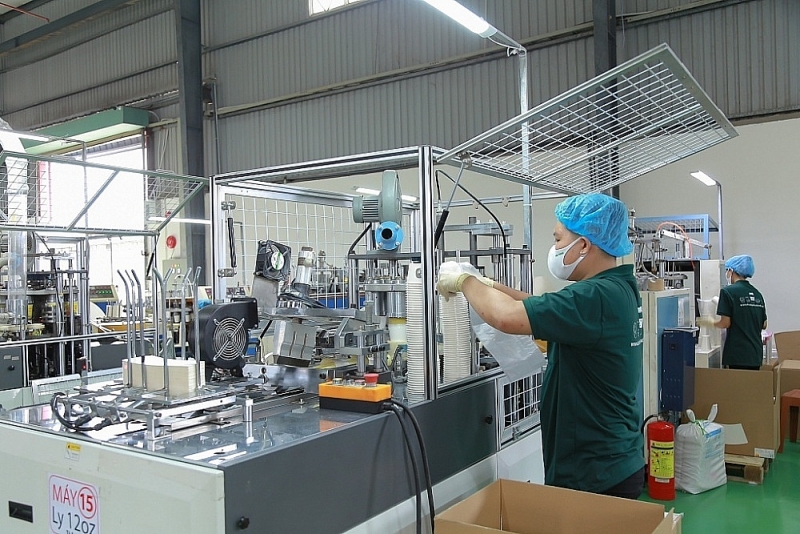 The production activities of businesses in 2023 have shown positive signs of recovery. Photo: T.D