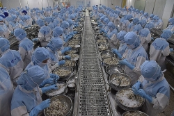 Seafood exports expected to earn  US$ 10 billion in 2024