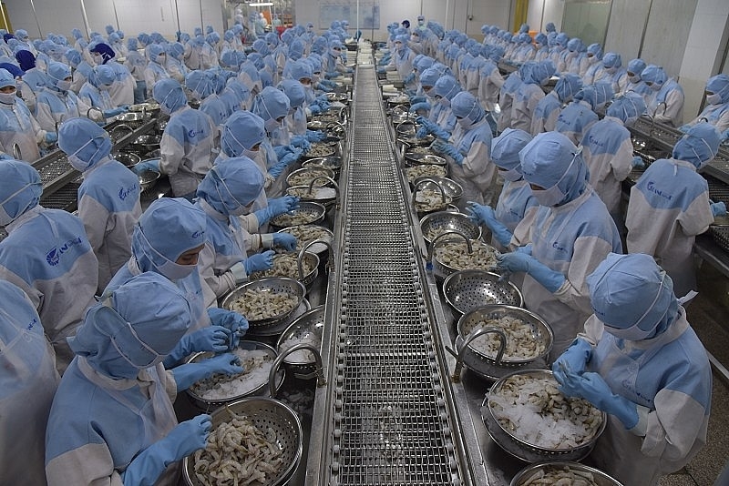 Seafood exports expected to earn  US$ 10 billion in 2024