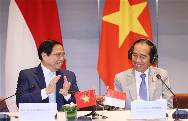 Vietnam, Indonesia eye stronger economic, trade ties hinh anh 1