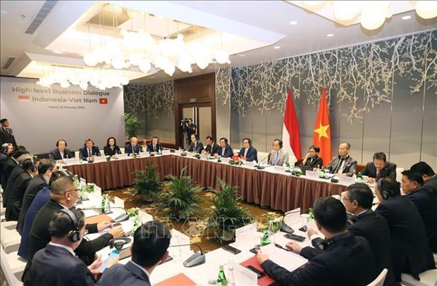 Vietnam, Indonesia eye stronger economic, trade ties hinh anh 2