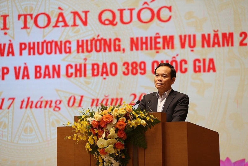 Deputy Prime Minister Tran Luu Quang speaks at the conference.
