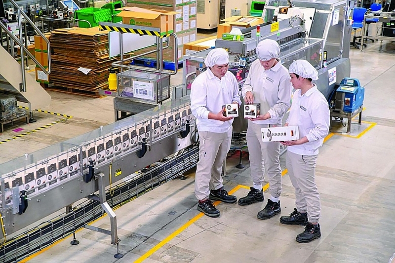 Many foreign enterprises have increased their investment due to confidence in Vietnam's business environment. For example, the Nescafé Dolce Gusto pellet production line at Nestlé Trị An factory in Đồng Nai province. Photo provided by DNp